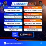 Buy Valorant Platinum Accounts