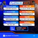 Buy Valorant Platinum Accounts