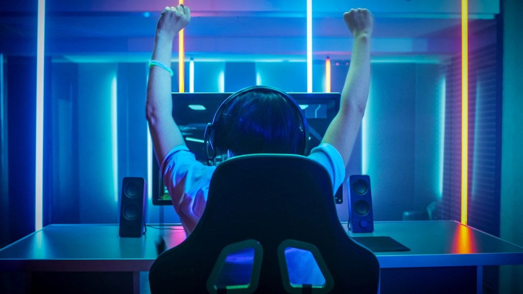 Esports Career