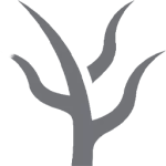 Jungle icon