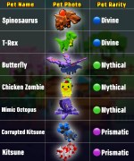 Pets Slider 2