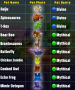 Pets Slider 2 V2