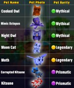 Pets Slider 3