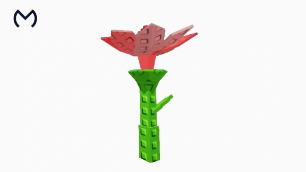 Rainbow Pink Lily on a white background